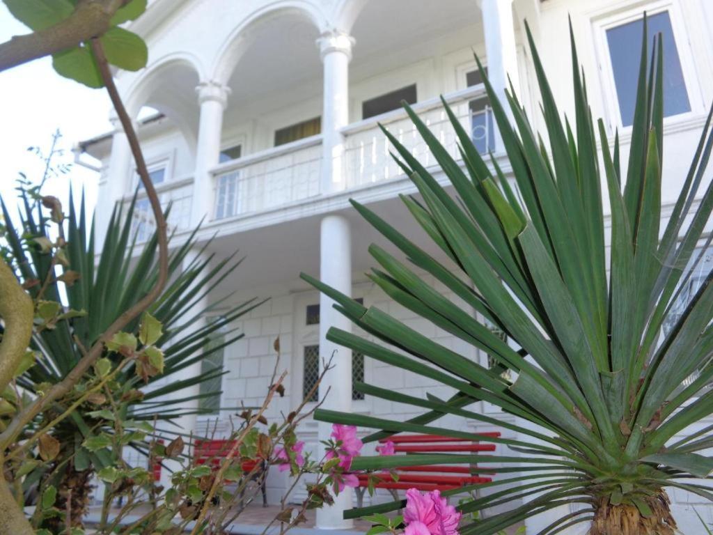 White Guest House باتومي المظهر الخارجي الصورة