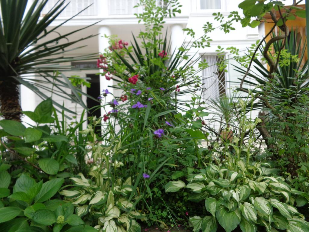White Guest House باتومي المظهر الخارجي الصورة
