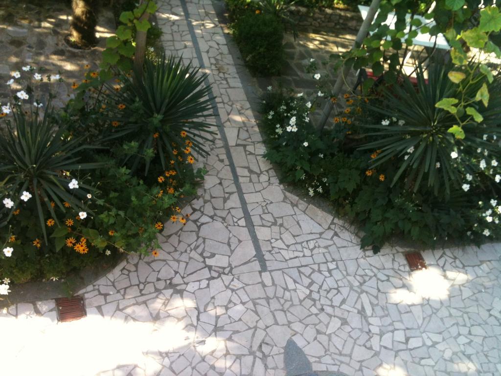 White Guest House باتومي المظهر الخارجي الصورة