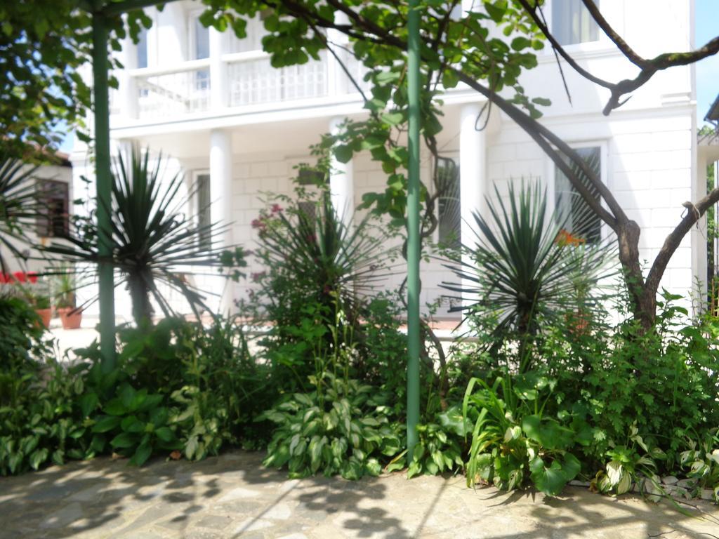 White Guest House باتومي المظهر الخارجي الصورة