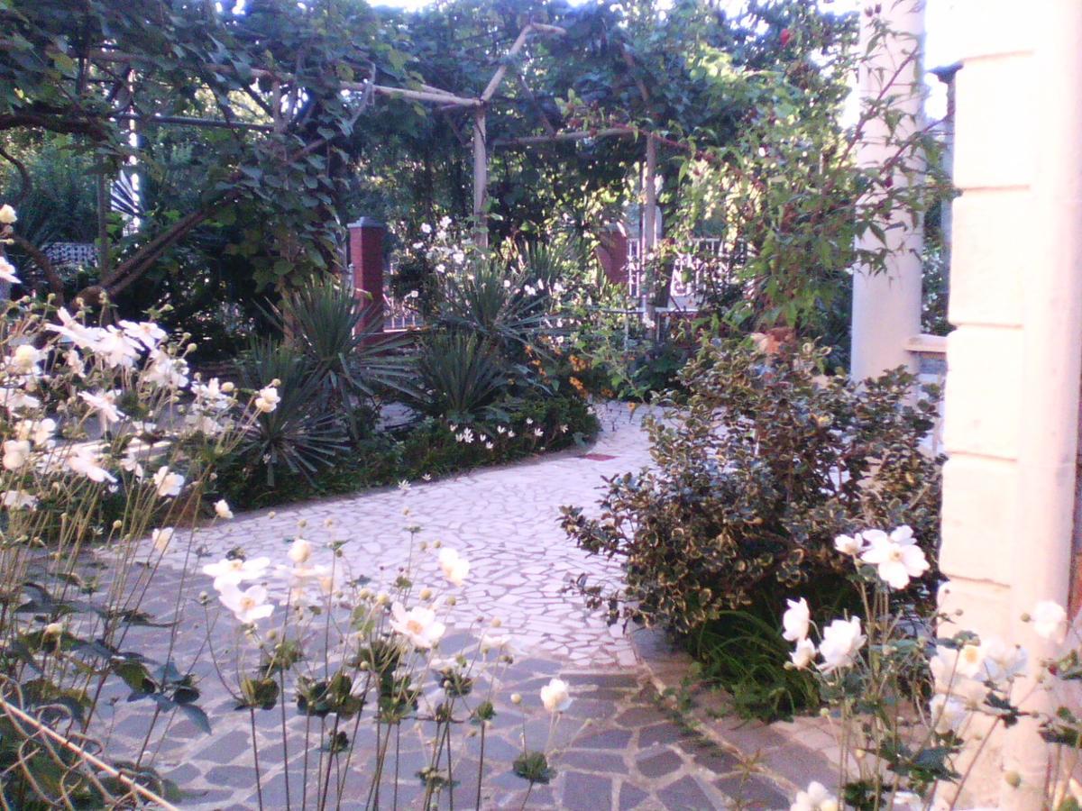 White Guest House باتومي المظهر الخارجي الصورة